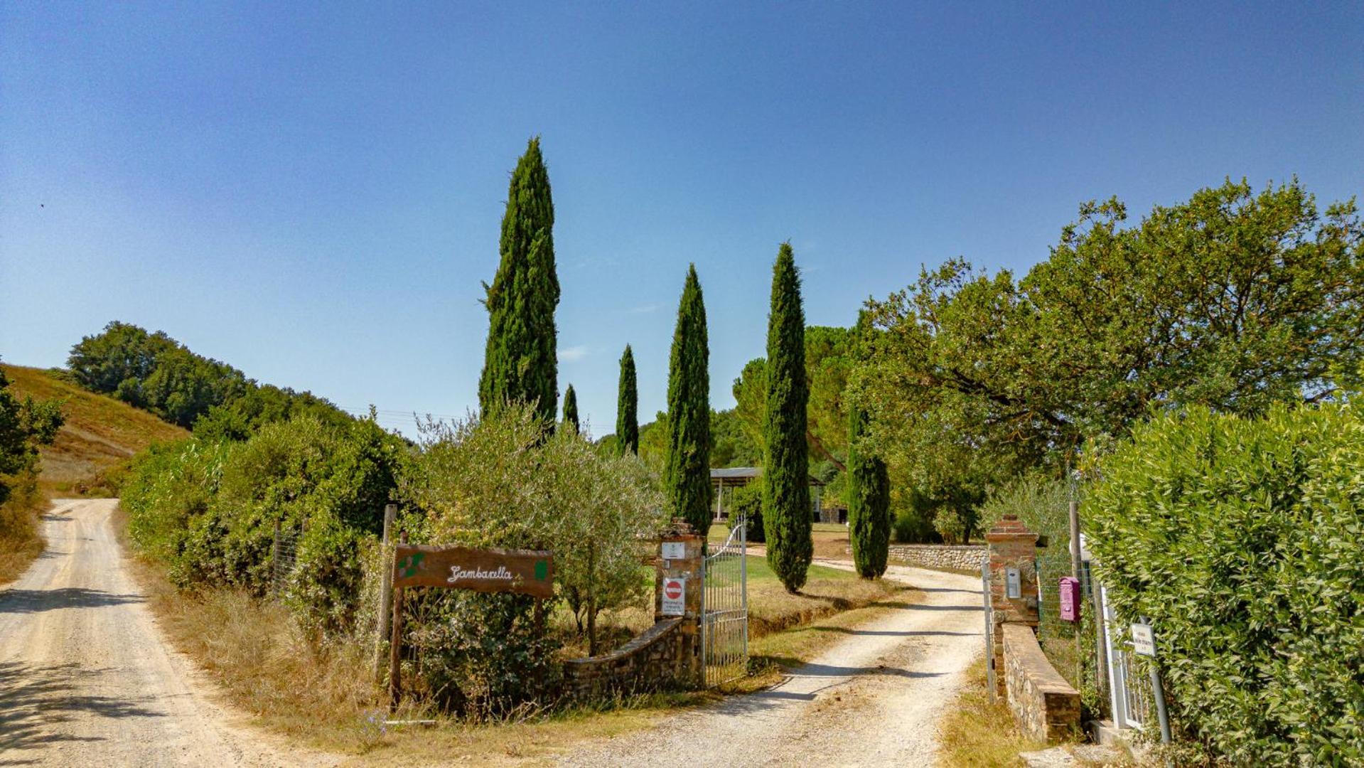 Ulivo-Chianti Charming Flat With Private Parking! Apartman Asciano Kültér fotó